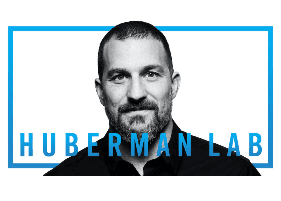 Huberman Podcast